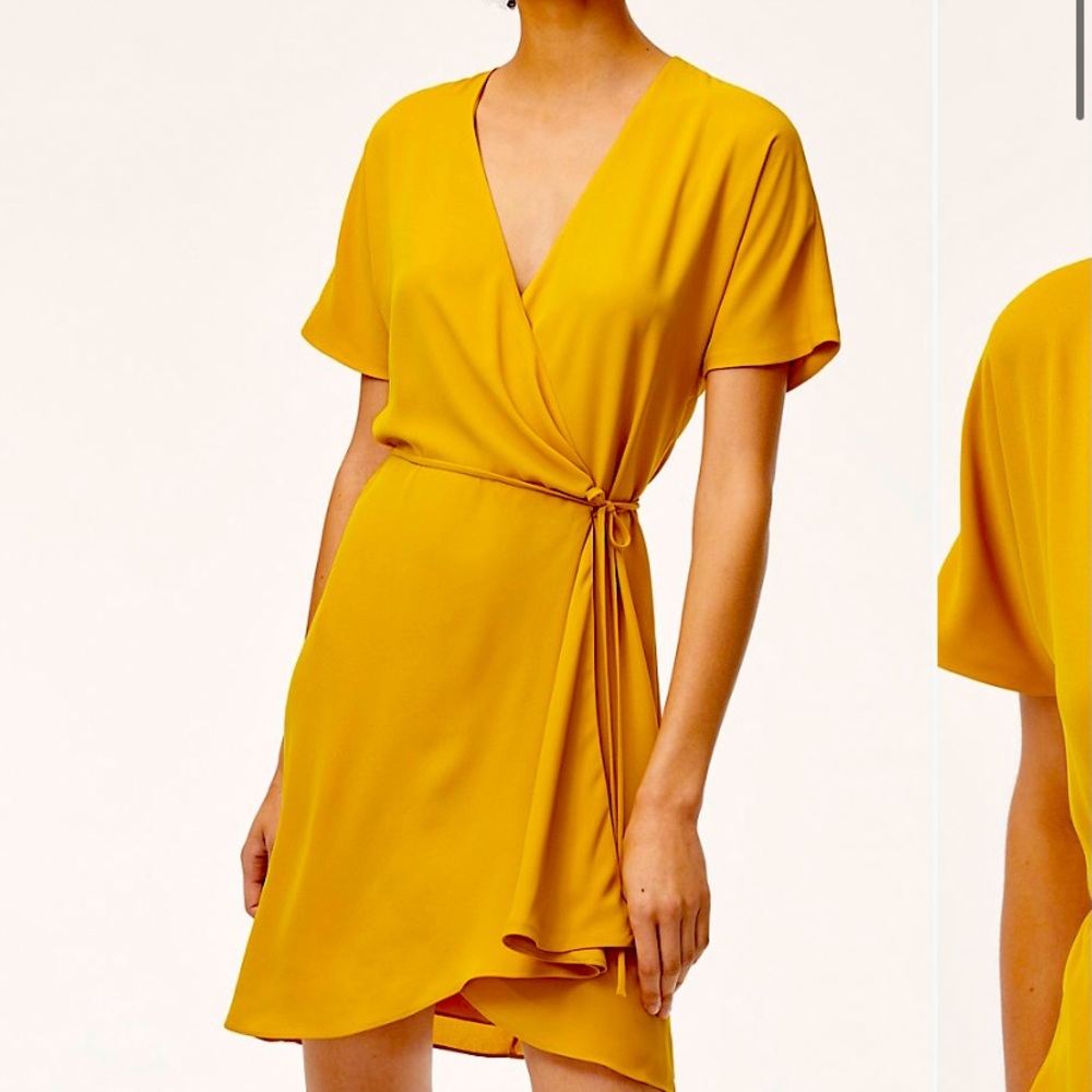 ARITZIA Cairo gold wrap dress